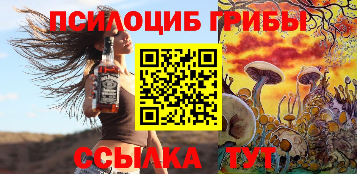 Ивантеевка  Псилоцибиновые грибы Psilocybe  хочу   Вход с VPN 